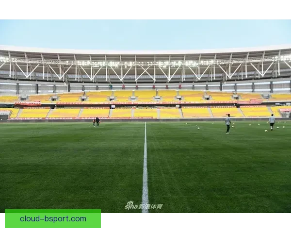 卢顿英超主场草皮紧急翻新确保比赛安全标准 卢顿英超主场草皮紧急翻新确保比赛安全标准